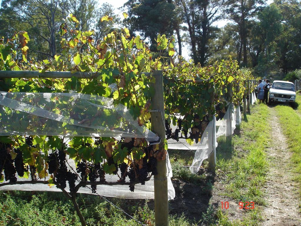 De Doornkraal Vinotel Riversdale Esterno foto