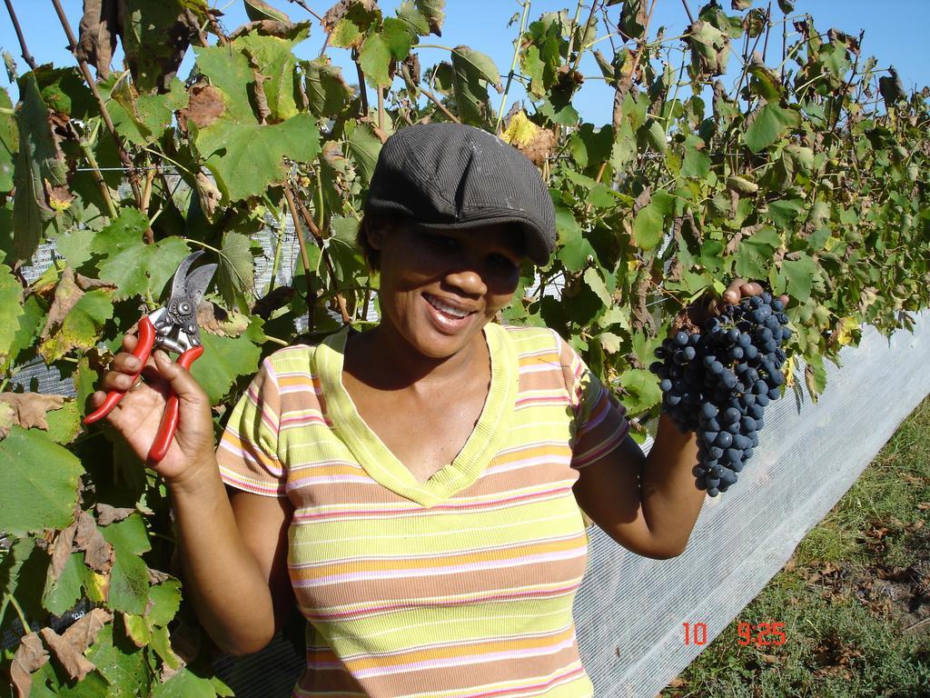 De Doornkraal Vinotel Riversdale Esterno foto