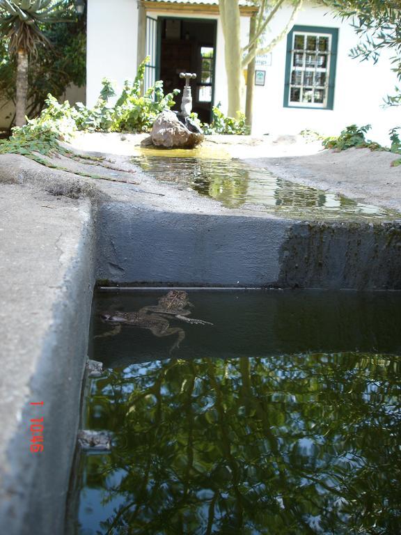 De Doornkraal Vinotel Riversdale Esterno foto