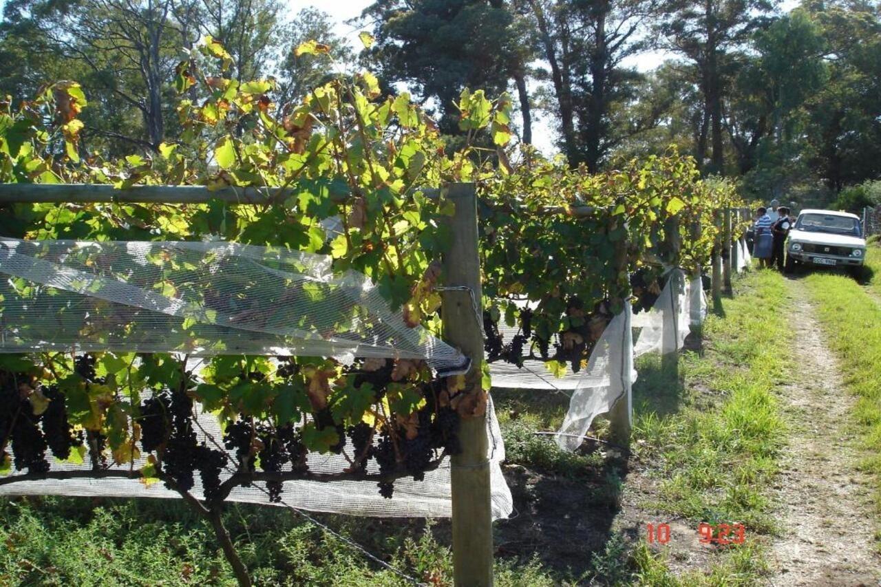 De Doornkraal Vinotel Riversdale Esterno foto