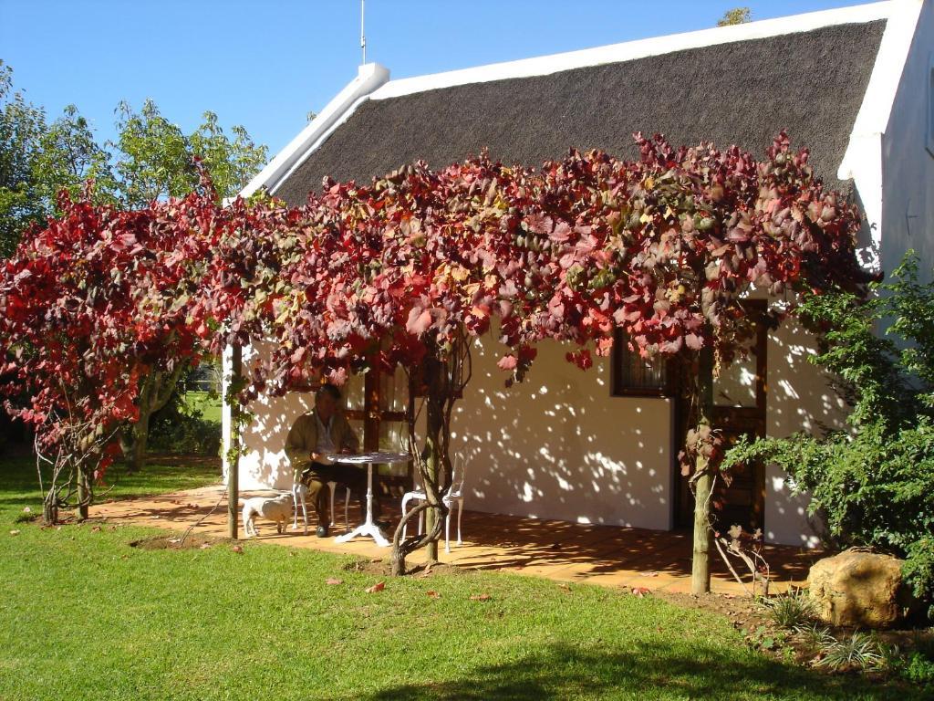 De Doornkraal Vinotel Riversdale Camera foto